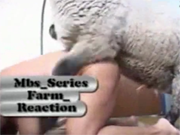 Баран трахает женщину