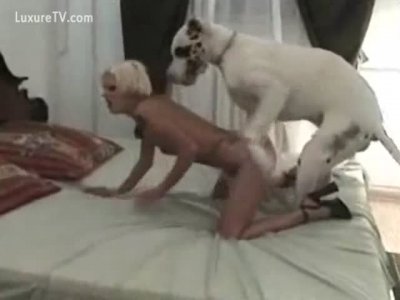 Белый кобель ебёт блондинку